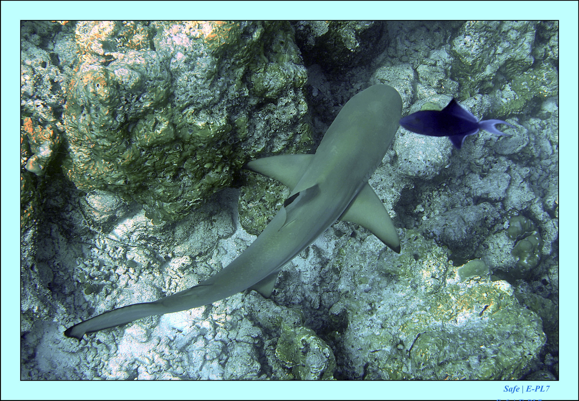 2023 - 07 - Sandies Bathala - 146